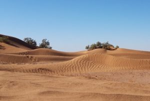 Morocco desert camel tour