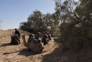 Morocco camel tour