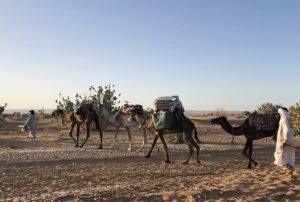 Morocco Sahara camel trek