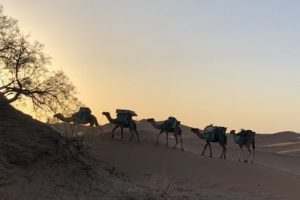 Morocco camel trekking 3 days