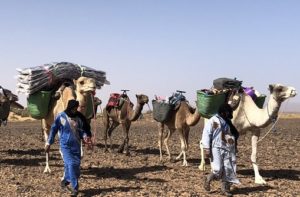 Sahara desert trek Morocco