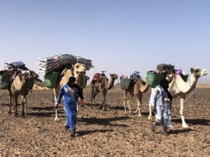 Morocco camel trek 7 days