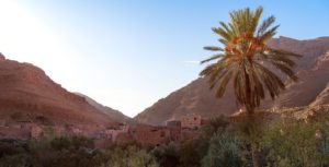 morocco camel trekking