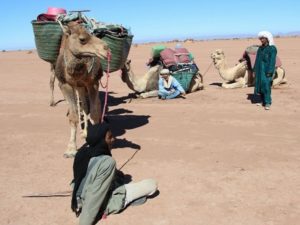 Morocco camel trek 4 days