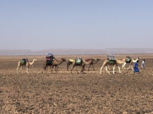 Trek Sahara Morocco