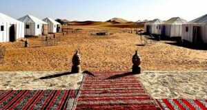 M'hamid desert camp