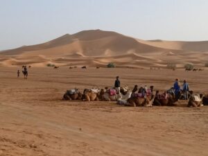 Erg Chebbi desert trip