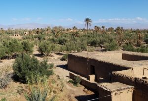 Oasis of Skoura