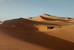 Camel tour Erg Chebbi dunes