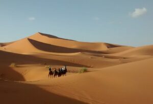 Merzouga camel tour in the dunes