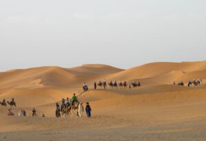 Camel trekking Merzouga