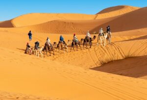 Merzouga tour on camels