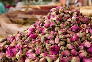 Roses Morocco