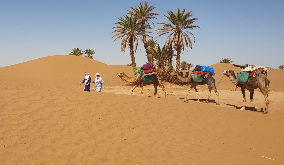 Morocco camel trekking