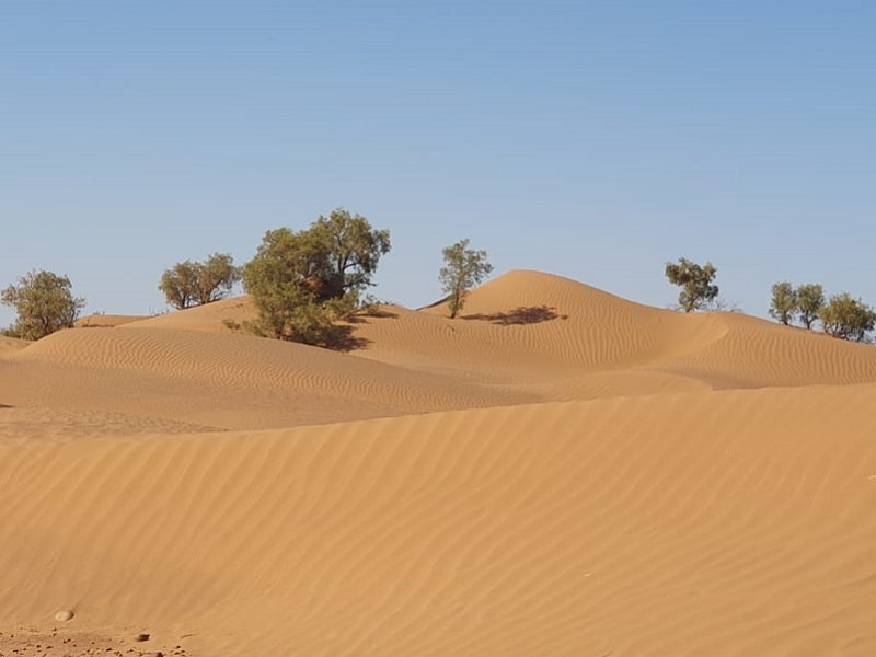 Morocco desert trek from M'hamid