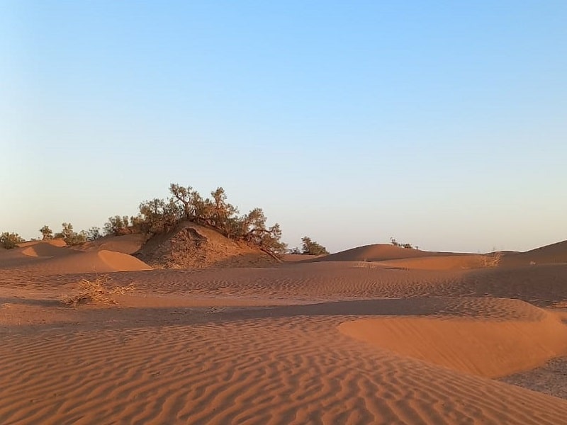 morocco desert trek
