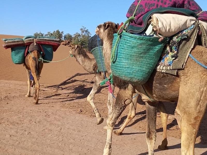 morocco sahara trekking