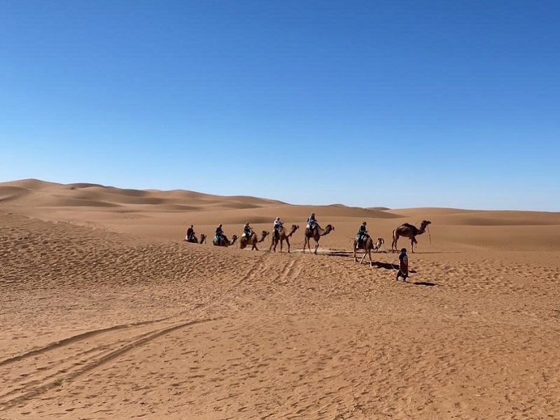 morocco camel trip
