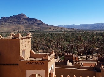 agdz palm grove morocco