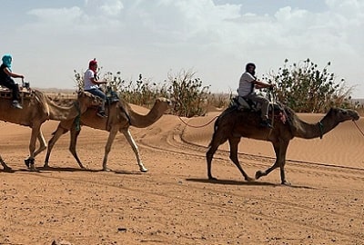 camel tour m'hamid