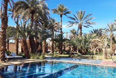 agdz morocco palm grove