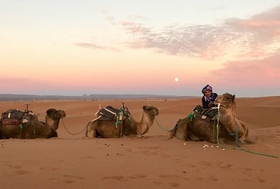camel tour merzouga