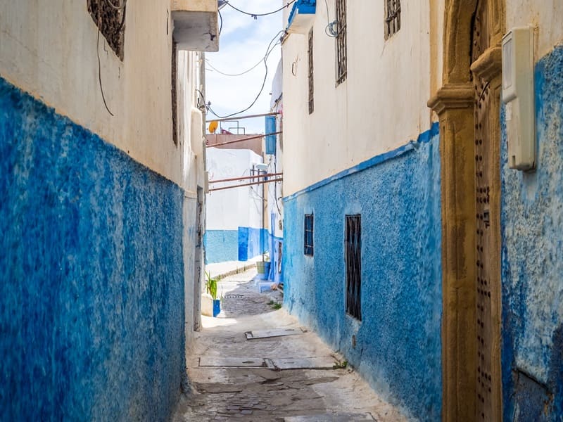 Camel trek Morocco: what price? How much does it cost?