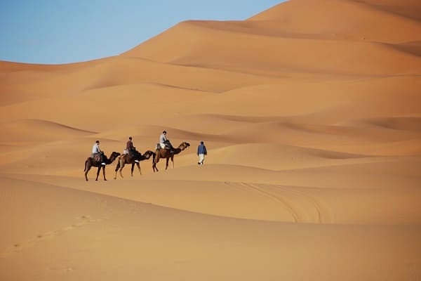 merzouga camel tour