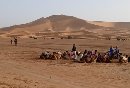 Tours from Ouarzazate to Sahara