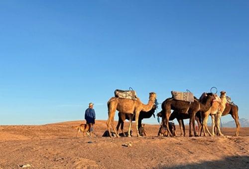 Agafay desert Morocco