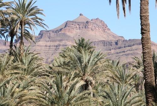 Morocco tours from Marrakech