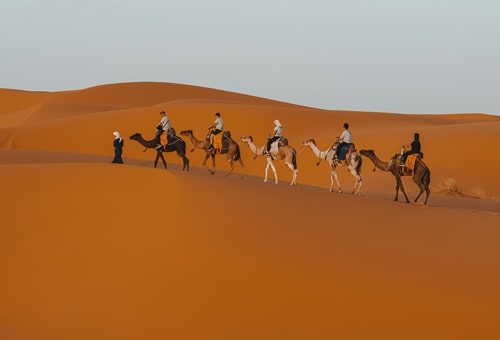 Morocco desert camel tour